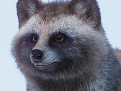 動物園経営シム「プラネット ズー」，ホンドタヌキやラーテルなどアジアに生息する7種類の動物を加える「Asia Animal Pack」が配信開始