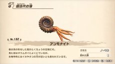 画像ギャラリー No.043のサムネイル画像 / 「釣りスピリッツ Nintendo Switchバージョン」の最新情報が公開。3つのゲームモードや新ステージ,やりこみ要素が明らかに