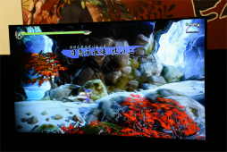 画像ギャラリー No.016のサムネイル画像 / 「BitSummit 7 Spirits」に出展された発売予定のコンシューマ機向けゲームを紹介。ケイドロを題材にした非対称型対戦ゲームが人気を集める