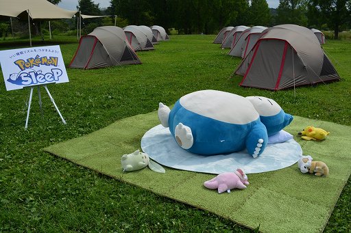 画像ギャラリー No.016のサムネイル画像 / 毎朝，ポケモンの寝顔を見るのが楽しみになる！　「Pokémon Sleep」を自然の中でキャンプして体験してきた