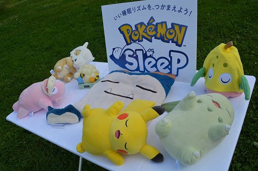 画像ギャラリー No.026のサムネイル画像 / 毎朝，ポケモンの寝顔を見るのが楽しみになる！　「Pokémon Sleep」を自然の中でキャンプして体験してきた