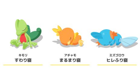 画像ギャラリー No.005のサムネイル画像 / 「Pokémon Sleep」，キモリやアチャモ，ミズゴロウの姿が確認できる2周年記念映像を公開。初のリアルイベントも開催決定