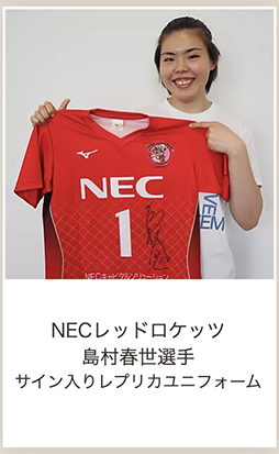 画像ギャラリー No.004のサムネイル画像 / 「One KANAGAWA Sports All-Star Cup 2020」，チャリティオークションを開始