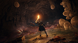 画像ギャラリー No.015のサムネイル画像 / フロム・ソフトウェアの新作アクションRPG「Elden Ring」は,2022年1月21日に発売。インゲームシーンが確認できる最新トレイラーも