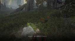 画像ギャラリー No.008のサムネイル画像 / 「ELDEN RING」プレイレポート。広大なフィールドと手ごわい敵，そして自由な攻略が，死闘と冒険を色取る
