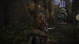 画像ギャラリー No.022のサムネイル画像 / 「ELDEN RING」プレイレポート。広大なフィールドと手ごわい敵，そして自由な攻略が，死闘と冒険を色取る