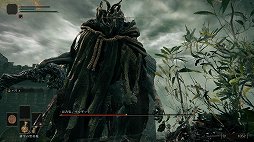 画像ギャラリー No.041のサムネイル画像 / 「ELDEN RING」プレイレポート。広大なフィールドと手ごわい敵，そして自由な攻略が，死闘と冒険を色取る
