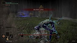 画像ギャラリー No.044のサムネイル画像 / 「ELDEN RING」プレイレポート。広大なフィールドと手ごわい敵，そして自由な攻略が，死闘と冒険を色取る