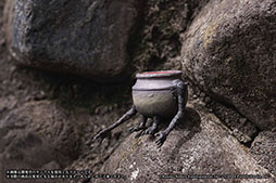 画像ギャラリー No.011のサムネイル画像 / 「ELDEN RING 小壺フィギュア」,本日より順次リリース。ポーズの異なる「生きている小壺」やクリアパーツの「特攻野郎たちの遺灰」を用意
