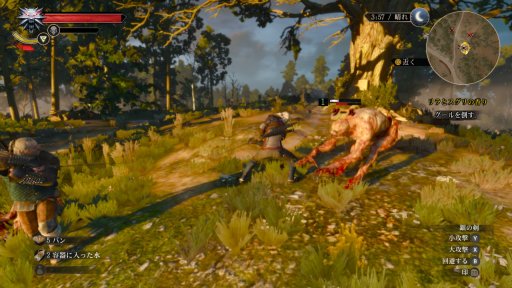 画像ギャラリー No.003のサムネイル画像 / 名作オープンワールドゲームをSwitchで。「ウィッチャー3 ワイルドハント コンプリートエディション」のショートインプレッションを掲載