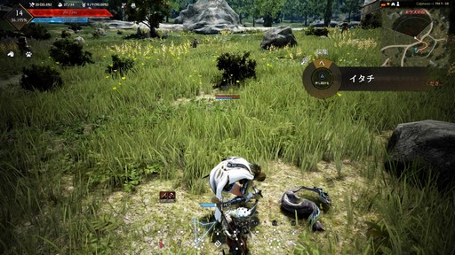 画像ギャラリー No.027のサムネイル画像 / PS4版「黒い砂漠」が8月23日にサービススタート。オープンβテストで体験した「黒い砂漠」の魅力を紹介