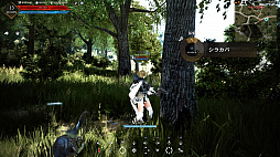 画像ギャラリー No.048のサムネイル画像 / PS4版「黒い砂漠」が8月23日にサービススタート。オープンβテストで体験した「黒い砂漠」の魅力を紹介