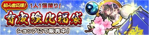 画像ギャラリー No.013のサムネイル画像 / 「うたわれるもの ロストフラグ」が11月26日で1周年。さまざまな記念キャンペーンが開催決定