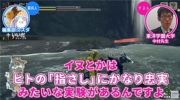 画像ギャラリー No.007のサムネイル画像 / 「Pigeon Simulator」「モンハン」をライブドアニュースの“ゲームさんぽ”で特集。動物心理学者が解説