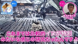 画像ギャラリー No.010のサムネイル画像 / 「Pigeon Simulator」「モンハン」をライブドアニュースの“ゲームさんぽ”で特集。動物心理学者が解説