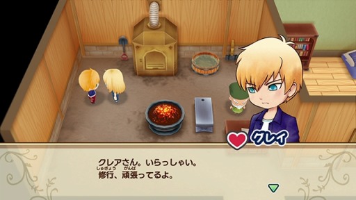 画像ギャラリー No.011のサムネイル画像 / 「牧場物語 再会のミネラルタウン」,新たな結婚候補4人の情報が公開。新種ガーベラの名前が決定