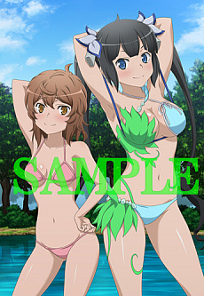 画像ギャラリー No.017のサムネイル画像 / 「ダンまち インフィニト・コンバーテ」,ヘスティア(CV.水瀬いのり)がナレーションを務める最新PVが公開。店舗別特典の続報も