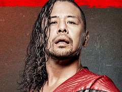 「WWE 2K20」，日本人スーパースターの中邑真輔選手とASUKA選手の姿も確認できるロースター（収録選手）が公開