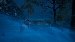 画像ギャラリー No.016のサムネイル画像 / 「King’s Bounty II」のPS4/Switch向け日本語版パッケージが8月24日に発売決定。店舗別予約特典の情報も明らかに