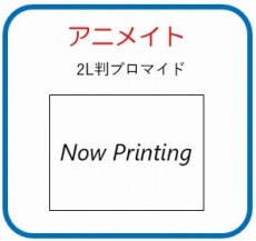 画像ギャラリー No.036のサムネイル画像 / シリーズ6作品を収録した「ロックマン ゼロ＆ゼクス ダブルヒーローコレクション」が2020年1月23日に発売。新モード「Zチェイサー」を追加