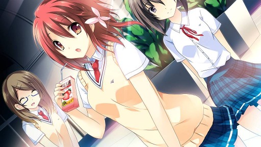 画像ギャラリー No.003のサムネイル画像 / Switch版「この大空に、翼をひろげて」が9月5日に発売。あらかじめDLを開始