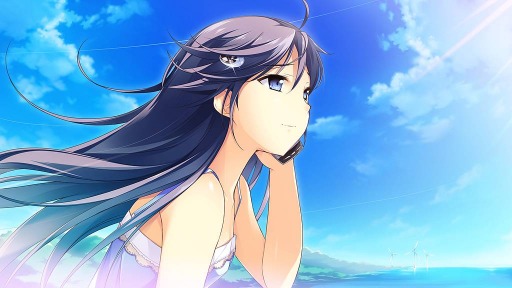 画像ギャラリー No.006のサムネイル画像 / Switch版「この大空に、翼をひろげて」が9月5日に発売。あらかじめDLを開始