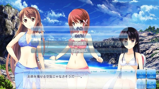 画像ギャラリー No.009のサムネイル画像 / Switch版「この大空に、翼をひろげて」が9月5日に発売。あらかじめDLを開始
