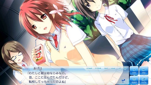 画像ギャラリー No.011のサムネイル画像 / Switch版「この大空に、翼をひろげて」が9月5日に発売。あらかじめDLを開始
