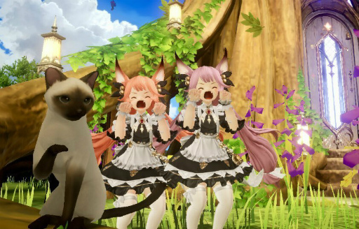 画像ギャラリー No.009のサムネイル画像 / 「グランサガ」,ギルド競争戦“精霊王の試練”次回シーズンの開催が決定