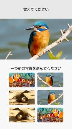 画像ギャラリー No.010のサムネイル画像 / 「脳を鍛える大人のNintendo Switchトレーニング」を紹介。頭と手を同時に使う楽しさや,継続が力に変わる感覚が得られる「脳トレ」最新作