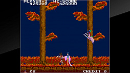 アーケードアーカイブス 影の伝説