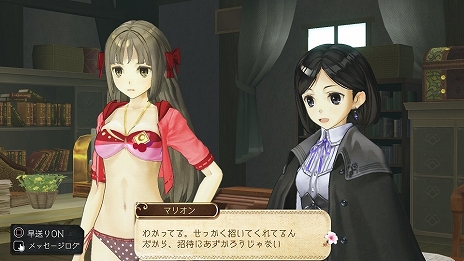 画像ギャラリー No.012のサムネイル画像 / 「アトリエ 〜黄昏の錬金術士 トリロジー〜 DX」に収録される,黄昏三部作の各種追加コンテンツに関する情報が公開