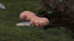 画像ギャラリー No.070のサムネイル画像 / 「DEATH STRANDING」ぶらり写真旅。カメラマンによるフォトコレクションを紹介