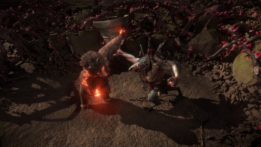 画像ギャラリー No.003のサムネイル画像 / 「Path of Exile 2」の次期アップデート「The Last of the Druids」最新情報公開。熊，狼，そしてワイバーンにもなれる新クラス「ドルイド」登場