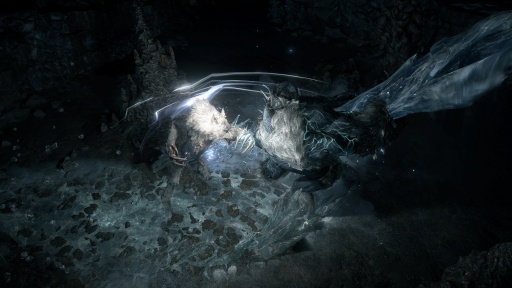 画像ギャラリー No.004のサムネイル画像 / 「Path of Exile 2」の次期アップデート「The Last of the Druids」最新情報公開。熊，狼，そしてワイバーンにもなれる新クラス「ドルイド」登場