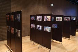画像ギャラリー No.011のサムネイル画像 / 「アサルトリリィ」の公開生放送で明らかになった新情報をまとめて紹介。ストーリーイベントや新ゲームモードが続々登場