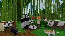 画像ギャラリー No.007のサムネイル画像 / マッシュアップパックやテクスチャなどを同梱した「Minecraft Starter Collection」が本日配信。パッケージ版は2020年1月16日に発売
