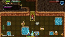 画像ギャラリー No.016のサムネイル画像 / ローグライクRPG「ドラゴンファング」がPCに移植。「Dragon Fang -Drahn's Mystery Dungeon」が2月4日よりSteamで配信へ