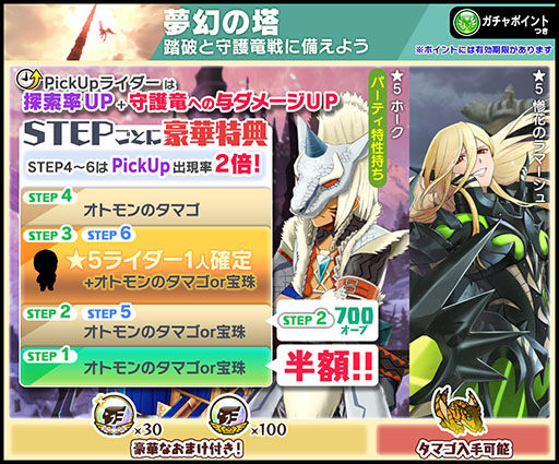 画像ギャラリー No.005のサムネイル画像 / 「モンハンライダーズ」,夢幻の塔にリオレイア希少種が出現