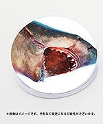 画像ギャラリー No.002のサムネイル画像 / サメゲー「Maneater」，PS4/PS5版パッケージの店舗別オリジナル特典が公開
