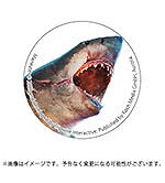 画像ギャラリー No.003のサムネイル画像 / サメゲー「Maneater」，PS4/PS5版パッケージの店舗別オリジナル特典が公開