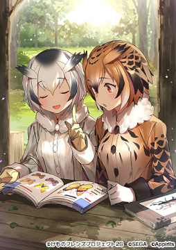 画像ギャラリー No.012のサムネイル画像 / 「けものフレンズ３」☆4“コンゴウインコ”が登場。イベント“体力測定 コンゴウインコ編”を開催