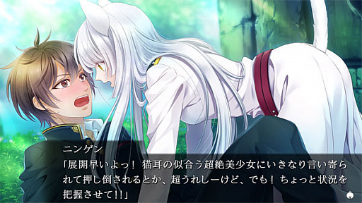 画像ギャラリー No.005のサムネイル画像 / あみあみ,限定特典付きSwitch版「軍靴をはいた猫」の予約を受付中