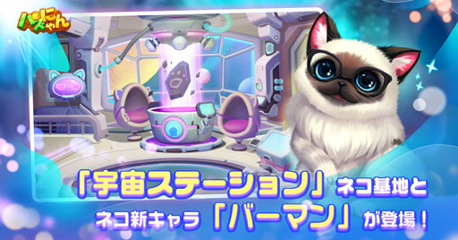 画像ギャラリー No.002のサムネイル画像 / 「パズにゃん」にパズルメインステージ「ネコ塾」と「収容所」が追加。さらに宇宙テーマ「ネコ基地」も登場