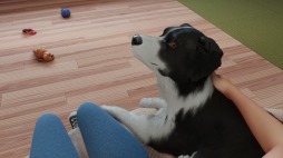 画像ギャラリー No.004のサムネイル画像 / PC向け愛犬育成シミュレーション「Dog Trainer」が配信決定。トレーニング風景を収録したティザートレイラーを公開