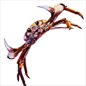 画像ギャラリー No.008のサムネイル画像 / Steam版「カニノケンカ -Fight Crab-」が本日配信スタート。カニを操作しカニと戦う3D対戦アクションゲーム