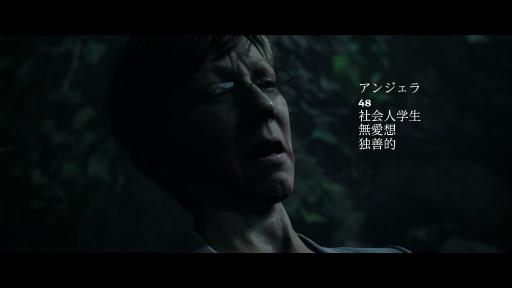 画像ギャラリー No.015のサムネイル画像 / “遊べるホラー映画”「THE DARK PICTURES」シリーズとは? PS4版「LITTLE HOPE」発売のタイミングで紹介