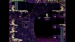 画像ギャラリー No.005のサムネイル画像 / Switch版「LA-MULANA 1&2」,あみあみで限定特典付きパッケージが予約受付中