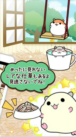 ハムスターコレクション