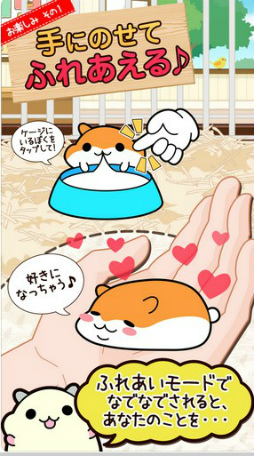 ハムスターコレクション